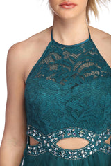 Sonia Lace Mesh Tendril Dress