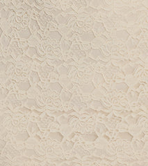 Delicate Love Bow V-Neck Lace Mini Dress