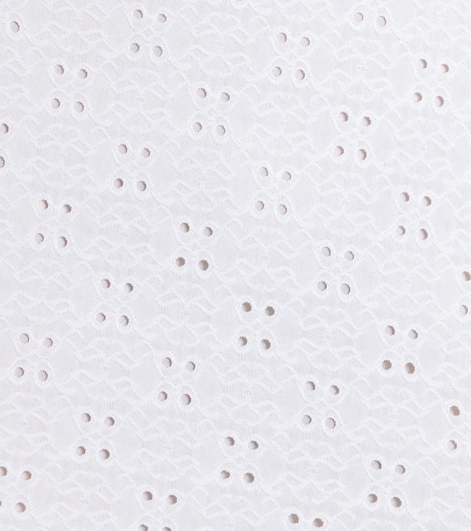 Lovely In Eyelet A-Line Mini Dress