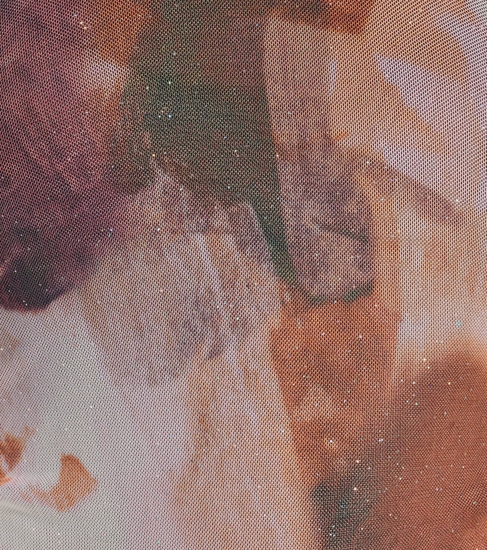 Shimmering Allure Abstract Print Glitter Mesh Top