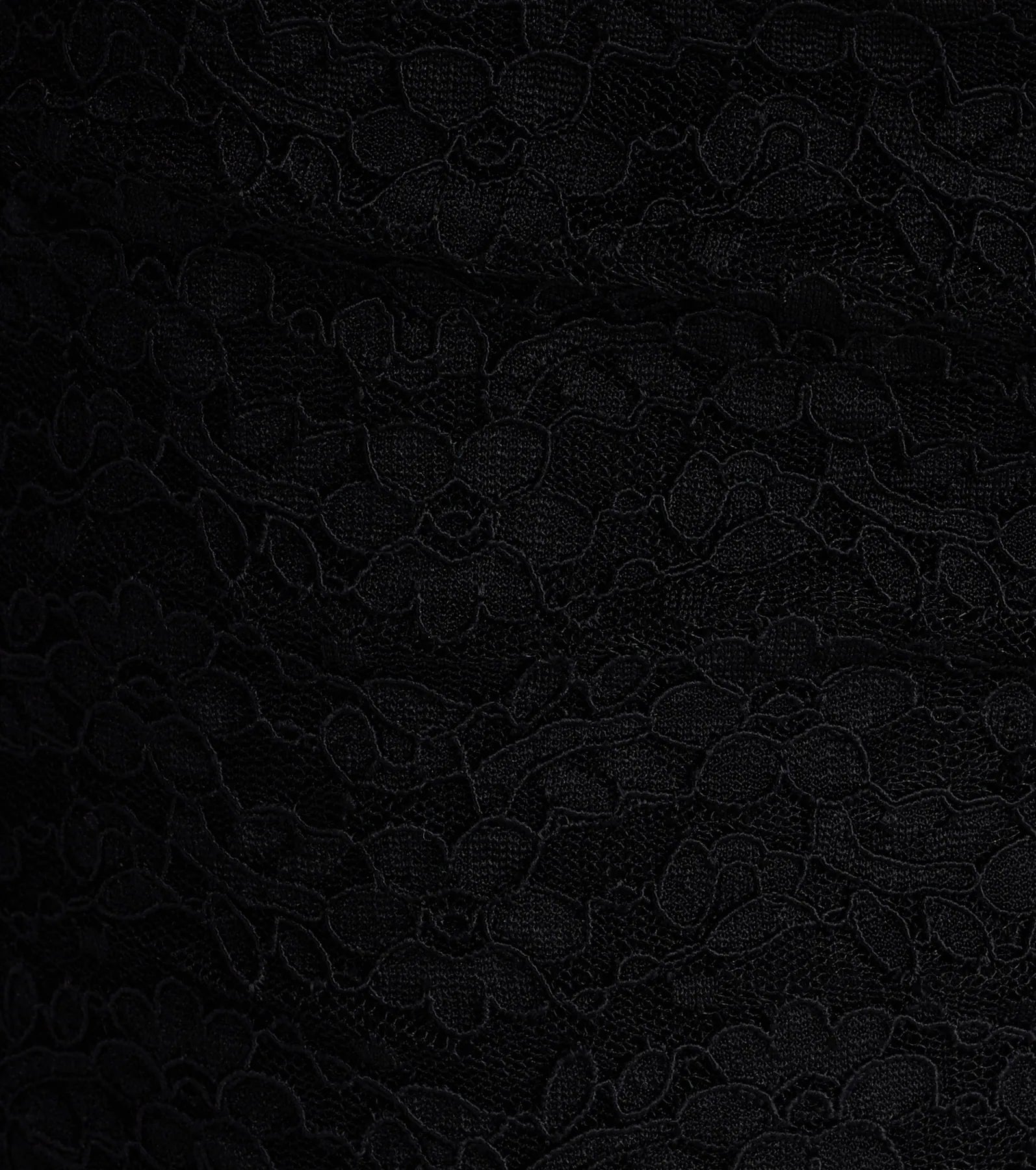 Flirty And Fab Lace Hot Shorts